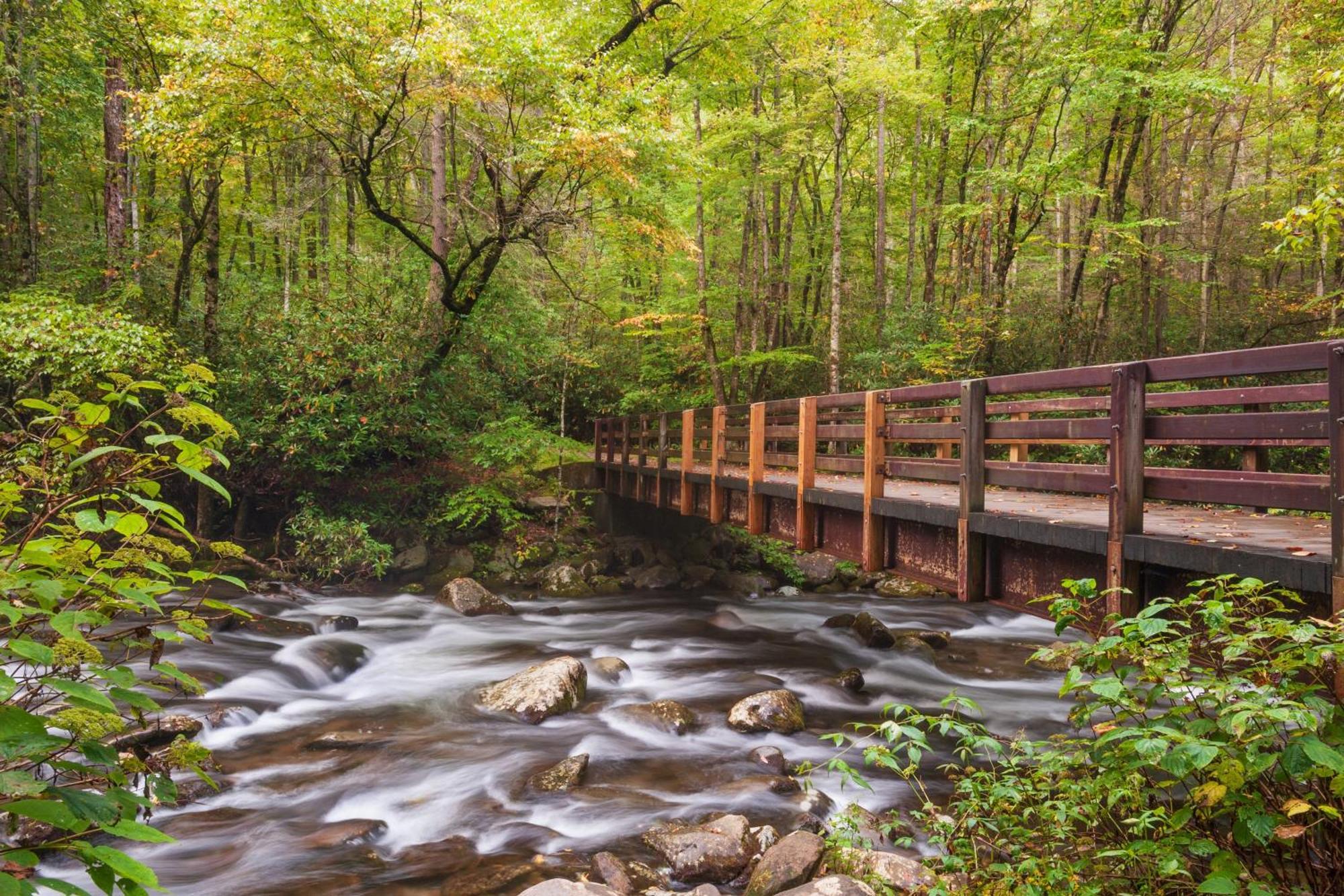 Ober Hideaway, Hot Tub, Wifi, 1089 Free Tickets Each Paid Day, Dollywood And More Гатлинбург Экстерьер фото